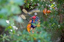 SoCoHo Eco Half Day - Mangrove Kayak & Reef Snorkeling