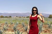 3 Hours Private Tour Guide in Guadalajara, you choose!
