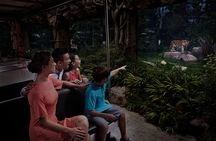 Night Safari with Buffet Dinner with hotel pick-up
