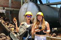3 Hours Private Tour Guide in Guadalajara 
