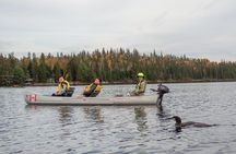 3 Hour VIP Electric Canoe Photography Tour (private, price is for 2 people)