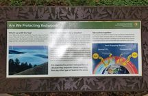 Combo Tour: Muir Woods, Sausalito and Sonoma Wine Country Tour