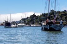 Combo Small-Group Tour: SF City plus Muir Woods & Sausalito