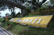  Batu Caves With Elephant Sanctuary & Fireflies Fullday Tour