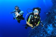 Diving for Certified Divers, 2 Tanks Sosúa Bay