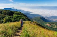 Doi Inthanon National Park with Nature Trail Trekking 1-Day Tour