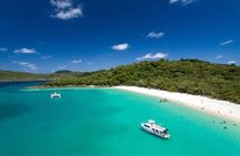 Whitehaven Beach and Hill Inlet Day Tour | Aussie Beach BBQ | Family Friendly