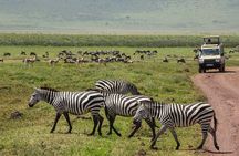6 Days Budget Tanzania Camping Safari