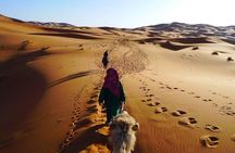 2 Day Zagora Tour from Marrakech Including the Atlas Mountains, Camel Trek and Desert Camp