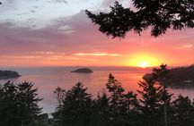 Sunset Canopy Climb on Lopez Island