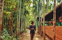 Waterfall & Plantation