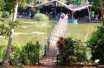 Waterfall & Plantation