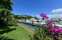 FAMOUS Local Green Train Noumea (01h30)
