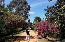 Private Four Days Angkor Complex with Kompong Phluk Village Tour