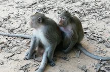 Private Tour to Koh ker and Beng Mealea Temple from Siem Reap