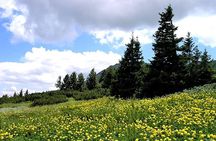 Vitosha Mountains and Cherni Vryh Peak (2290m)