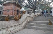 Seven UNESCO World Heritage Sites Day Tour of Kathmandu Velley