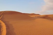 Premium Red Dunes Safari and Camel Safari with BBQ Dinner