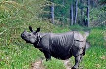 Chitwan National Park Jungle Safari Tour Package from Kathmandu