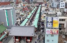 1 Day Private Charter Tokyo Tour (Green Number Plates)