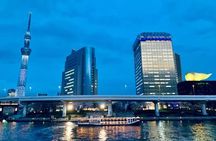 1 Day Private Charter Tokyo Tour (Green Number Plates)