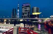 1 Day Private Charter Tokyo Tour (Green Number Plates)