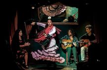 Tapas and Flamenco in Seville