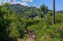 Puerto Plata: Damajagua waterfalls + Safari buggy + Horseback riding (TOP3IN1)