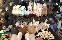 Alpaca Ranch and Fiber Processing Mill Tour