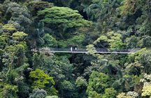 Arenal Hanging Bridges Nature Tour