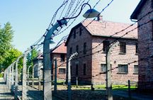 Auschwitz-Birkenau Tour: Tickets + Transportation from Krakow