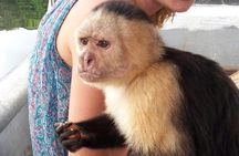 Full-Day Gatun Lake and Indian Village Tour from Panama City