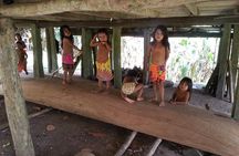 Full-Day Gatun Lake and Indian Village Tour from Panama City