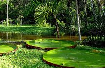 3-Day Eco Amazonia Lodge in the Amazon Jungle ECOMAGICO
