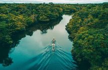 4-Day Amazon Jungle Tour at Eco Amazonia Lodge