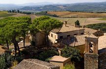 Discover Montalcino through its best productions: Brunello & Saffron!!