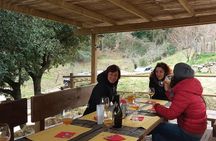 Discover Montalcino through its best productions: Brunello & Saffron!!
