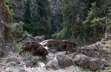 Hiking at Imbros Gorge! Tour from Chania
