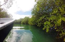Full-Day Tour to Punta Rucia and Cayo Arena with Snorkeling