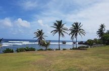 Barbados Half Day Coastal Sightseeing Private Tour