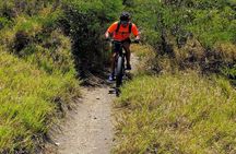 Electric Bike Bajan Sightseeing Experience (Transport Included)