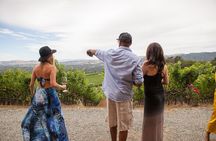 Sonoma Wine Tour - Private Access to Small Wineries