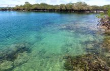 4-Day Galapagos Land Tour Visiting Isabela and Santa Cruz