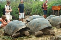 4-Day Galapagos Land Tour Visiting Isabela and Santa Cruz