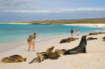 4-Day Galapagos Land Tour: San Cristobal and Santa Cruz Island