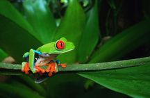 Ecocentro Danaus Combinated Day and Night Tour