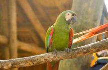 National Aviary private from Cartagena