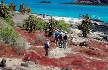 4-Day Galapagos Tour: Santa Cruz & 2 Uninhabited Islands