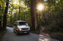Glenorchy & Paradise Half-Day Scenic Tour