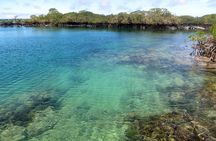5-Day All-Inclusive Galapagos: Isabela and Santa Cruz Island